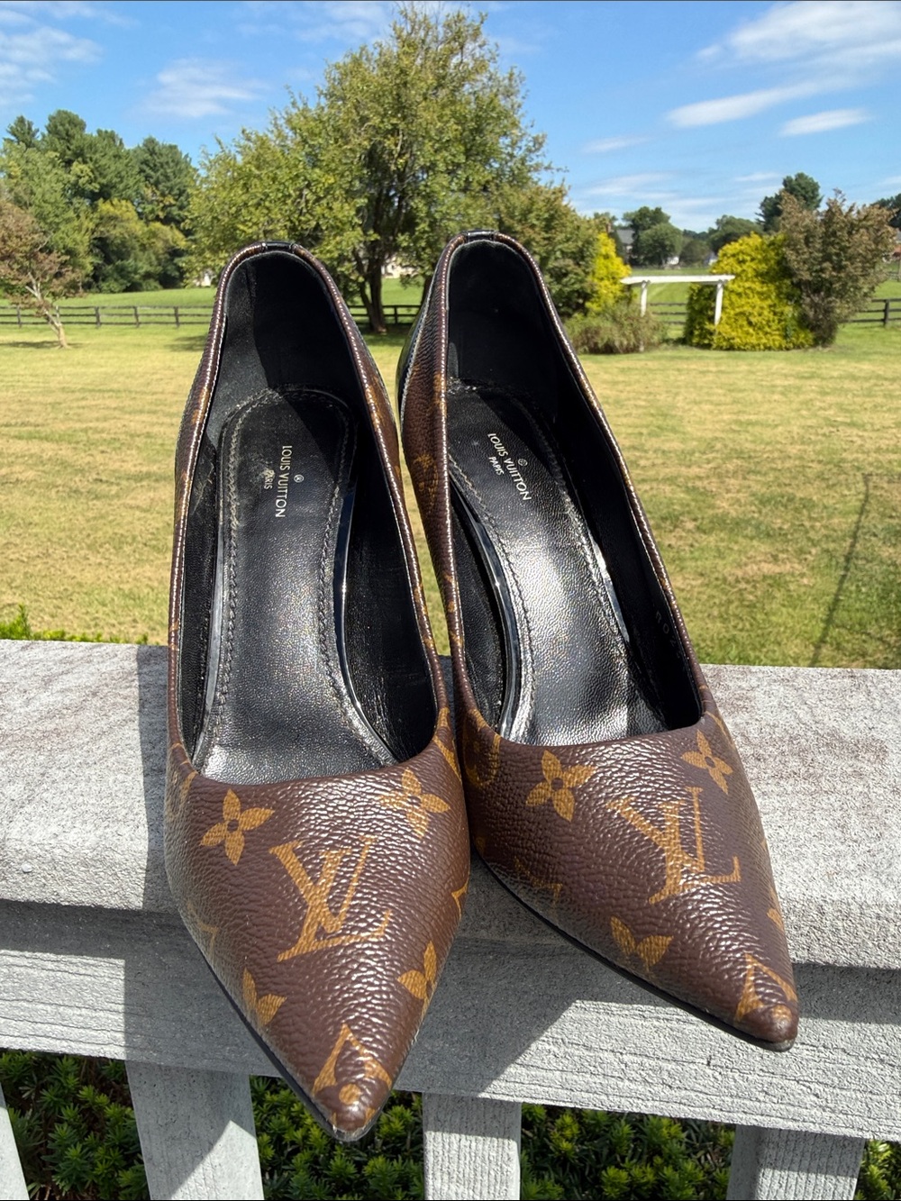 Louis Vuitton Brown Monogram Pointed Toe with 4” Heals